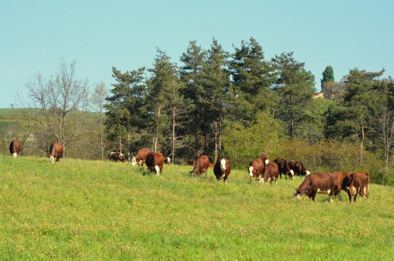 Gites A La Ferme De Bacon Saint-Sylvestre  Kültér fotó